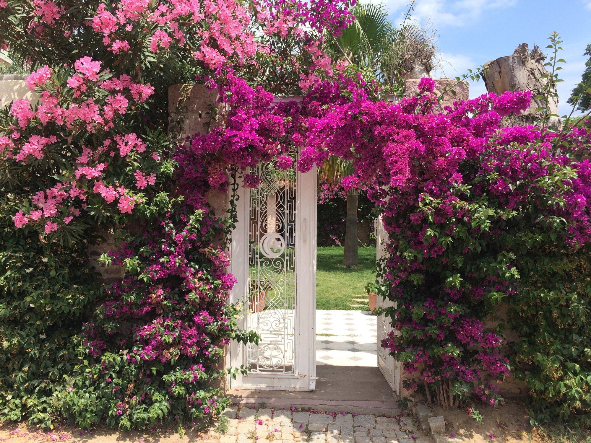 Cunda Has Konak Butik Otel Ayvalı Esterno foto